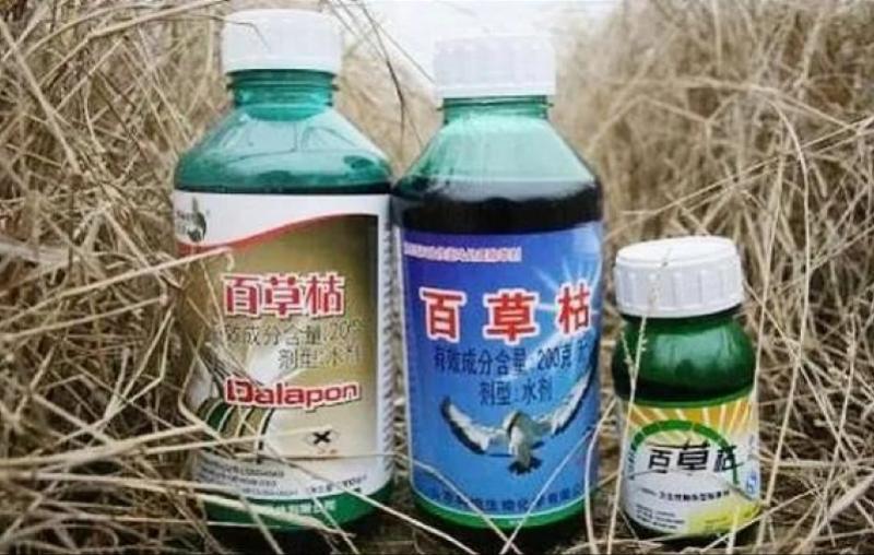 河南新增本土无症状4例其中郑州2例/河南新增本土无症状20例